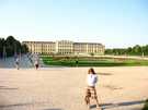 > Австрия > Вена  Замок Шёнбрунн, вид на Большой партер и дворцовый сад
