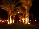 > Египет > Хургада > Regina style 4*  Хургада, типичный египетский газон с подсветкой. Этот 
