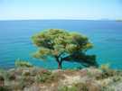 > Греция > Халкидики > Poseidon 4* ( Sitonia )  Природа вокруг  - красота неописуемая!<br />
Хоть постеры
