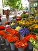  Голландия  Амстердам  Цветочный базар Харлема