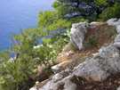 > Хорватия > макарская ривьера, курорт башка вода  парк в макарском.... на склонах даже кактусы растут...