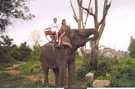 > Таиланд > Паттайя  мечта детства- прокатиться на слоне