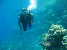 > Египет > Шарм Эль Шейх  Diving<br />
Sharm el Sheikh