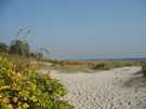 > тур по странам Европы  Beach in Denmark