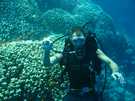> Египет > Шарм Эль Шейх  Diving<br />
Sharm el Sheikh