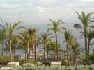  Египет  Шарм Эль Шейх  Domina Coral Bay  