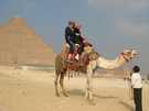 > Египет > Шарм Эль Шейх > Holiday inn amphoras 4*  