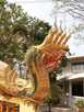  Таиланд  Паттайя  Священная змея Нага