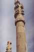  Иран  Шираз  Персеполис, колонна