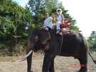 > Таиланд > Паттайя > Aisawann Resort&Spa (он же Garden Beach)  Поездка на р.Квай. Прогулка на слонах. Экзотика.