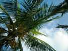 > Куба > Варадеро > SOL SIRENAS CORAL  Небо на пляже