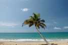 > Доминикана > Punta Cana  Пляж в LAGUNA LIMON. 