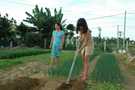 > Вьетнам > Сайгон  Фермеры-эксплуататоры туристической рабочей силы(пре