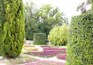  Болгария  Албена  Ботанический сад в Балчиге