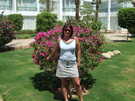  Египет  Шарм Эль Шейх  Tropicana Garden Palms 4*  на территории отеля
