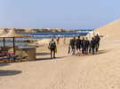  Египет  Марса Алам  ТОлпы марширующих аквалангистов