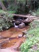 > Африка  River in Nrthern Province/ On my way to Tzanin