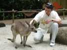 > Сингапур  Хоть кенгуру и живут в Австралии - этот  с Сингапурской 