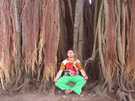  Индонезия  Под очень похожим деревом медитировал Будда...