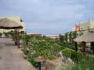  Египет  Шарм Эль Шейх  Coral sea village resort 5*  Территория отеля