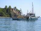 > Турция > Кемер > Joy arma resort 4*  Яхта, море, солнце - романтика !!!
