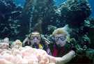 > Египет > Хургада > Desert rose 5*  Мы под водой на фоне кораллов.