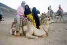  Египет  Хургада  Desert rose 5*  Я на верблюде, который очень странно садился... В деревн