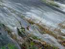  Ирландия  Дублин  Фотосессия на Додер (Dodder river) Окт 2004