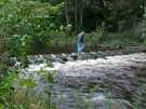  Ирландия  Дублин  Фотосессия на Додер (Dodder river) Окт 2004