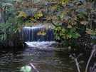 > Ирландия > Дублин  Фотосессия на Додер (Dodder river), Буши парк (Bushy Park, Templeogue) Ок