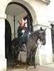 Англия  Лондон  Horse Guards