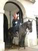 > Англия > Лондон  Horse Guards