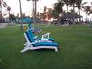 > ОАЭ  Jebel Ali Hotel & Golf Resort 5*<br />
Пляж. Сначала травка, а потом пес