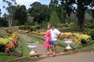  Шри-Ланка  Очень красивый батанический сад