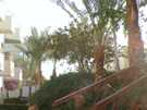 > Египет > Шарм Эль Шейх > Days inn gafy resort 4*  
